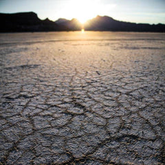 Climate Grief