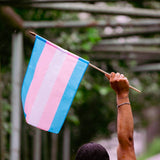 International Transgender Day of Visibility