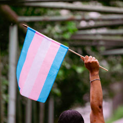 International Transgender Day of Visibility