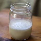 Coconut Milk Kefir Recipe