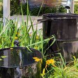 The Basics Of Rainwater Harvesting