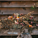 The Benefits of Composting