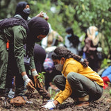 Gardening in the Wake of Climate Change