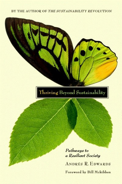 Thriving Beyond Sustainability